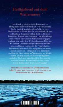 "Heiligabend auf dem Wattenmeer" in roter Schrift. Beschreibung eines norddeutschen Weihnachtsromans vor Sternenhimmel.