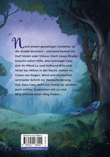 Der Text beschreibt, wie Lissy nach einem Unwetter mit Pferd Lu und Hofhund Billy Hilfe für ihren Bruder sucht. Im Hintergrund ist eine Waldszene in der Nacht zu sehen.