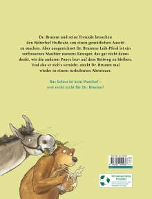 Daniel Napp: Dr. Brumm: Dr. Brumm auf dem Ponyhof, Buch