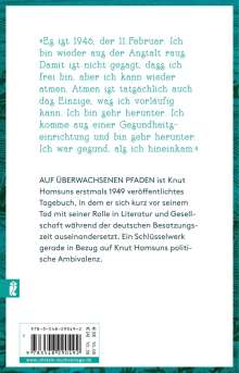 Knut Hamsun: Auf überwachsenen Pfaden, Buch