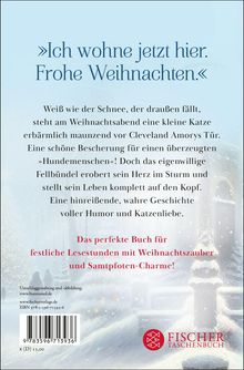 „Ich wohne jetzt hier. Frohe Weihnachten.“ Es beschreibt eine rührende, katzenliebende Weihnachtsgeschichte.