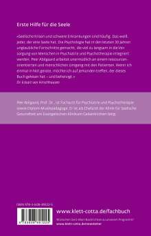 Peer Abilgaard: Stabilisierende Psychotherapie in akuten Krisen (Leben Lernen, Bd. 254), Buch