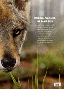 **Texte:**  
**HUNDE, UNSERE GEFÄHRTEN**  
Die Augen eines Hundes sprechen...  

**Illustration:**  
Detailreiches Hundeporträt mit sichtbar nahe Schnauze und Augen. Hintergrund unscharf.