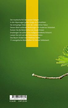 Text spricht über Salige, Schutzfeen und 77 Botschaften. Grüner Hintergrund mit gelbem Streifen und Tannenzweig rechts.