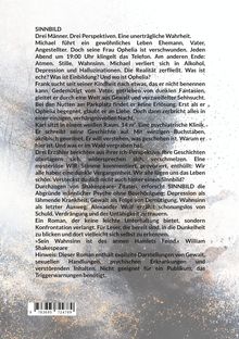 "SINNBILD. Drei Männer. Drei Perspektiven. Eine unerträgliche Wahrheit. Hinweis: Explizite Darstellungen. Nicht für alle geeignet." In einem gemalten, abstrakt wirkenden Hintergrund aus grau-blauen Spritzern.