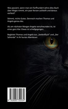 Text: "Was passiert, wenn man ein [...] in ihr kurzes Abenteuer." Im Hintergrund ein Teil eines schwarzen Katzenkopfes mit gelbem Auge.