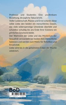 Ein Gemälde mit Bergen und Wasser. Text beschreibt die leidenschaftliche, tabubrechende Beziehung zwischen Professor und Studentin.