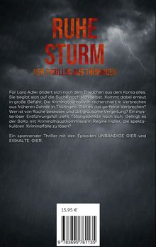 Text: "RUHE STURM - Der Thriller aus Thüringen". Dahinter dunkle Wolken und Blitze. Unten: Preis 15,95 €.