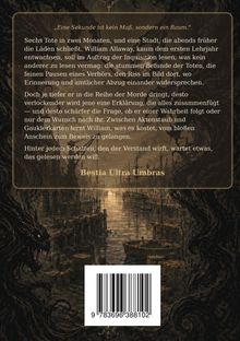 Klappentext eines Romans mit düsterem Stadtmotiv im Hintergrund. Zeilen beschreiben William Allaway und seine Ermittlungen.