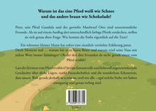 Warum ist das eine Pferd weiß wie Schnee und das andere braun wie Schokolade? Ein Weg führt durch grüne Wiesen.