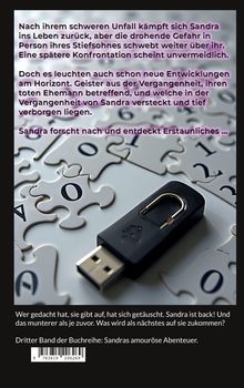 Text beschreibt: Sandra kämpft nach Unfall, drohende Gefahr durch Stiefsohn, vergessene Vergangenheit. Puzzle und USB-Stick abgebildet.