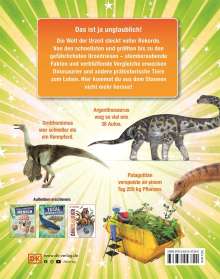 Dean Lomax: Total verrückt! Dinosaurier, Buch