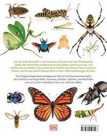 Text: Informationen über das Buch "Insekten", Artenvielfalt, Lebensräume und Abbildungen. Abbildungen von verschiedenen Insekten.