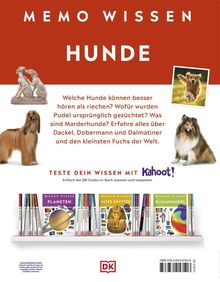 MEMO WISSEN HUNDE: Welche Hunde können besser hören als riechen? Erfahre alles über Dackel, Dobermann und Dalmatiner.