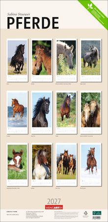 "Sabine Stuewer PFERDE 2027. Friese, Isländer, American Bashkir Curly Horse, Anglo-Araber. Bilder von verschiedenen Pferderassen."