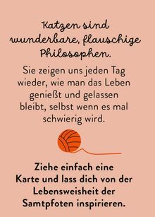 „Katzen sind wunderbare, flauschige Philosophen.“ Darunter ein orangefarbenes Wollknäuel auf blassrosa Hintergrund.