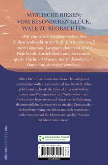 Oliver Dirr: Walfahrt, Buch
