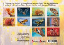 16 Postkarten mit Motiven von Loes Botman, aus dem Buch: Von den Waldtieren. Zehn bunte Tierillustrationen.