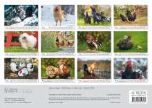 Hühner 2025 Bildkalender A3 quer - Judith Kiener &amp; Oliver Giel, Kalender
