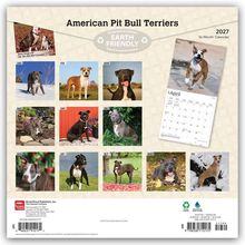 "American Pit Bull Terriers", "2027", "16-Month Calendar", "EARTH FRIENDLY", Monatsfotos von Hunden, unten ein Kalenderblatt für April.