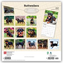 "Rottweilers", "EARTH FRIENDLY", 2027 Kalender. Fotos von Rottweilern für jeden Monat.