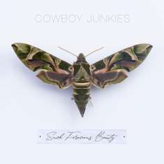 Cowboy Junkies: Such Ferocious Beauty, CD