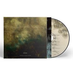 Texte auf CD: "Echo & Sound, Send It In, All In The Rush, The Ruin, Rescue Shadow, Real." Abstrakte, erdige Farbgestaltung.