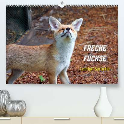Peter Kersten Freche Fuchse Lustige Spruche Premium Hochwertiger Din A2 Wandkalender 2021 Kunstdruck In Hochglanz Kalender Jpc