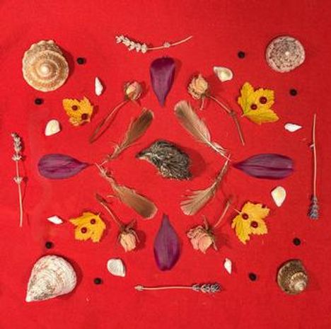 Keine Texte. Verschiedene Naturmaterialien wie Blüten, Blätter, Federn und Muscheln kunstvoll auf rotem Hintergrund angeordnet.