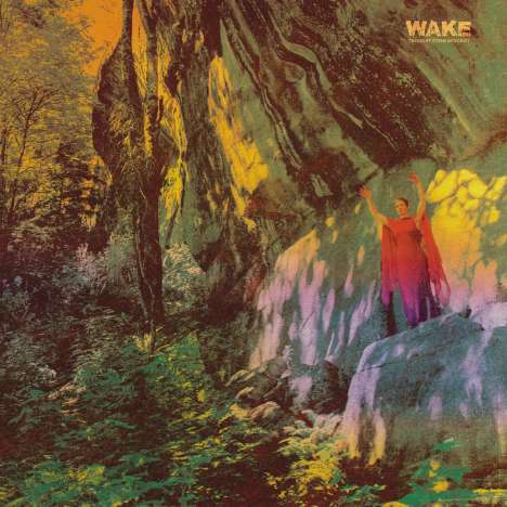 The Wake: Thought Form Descent (180g), LP