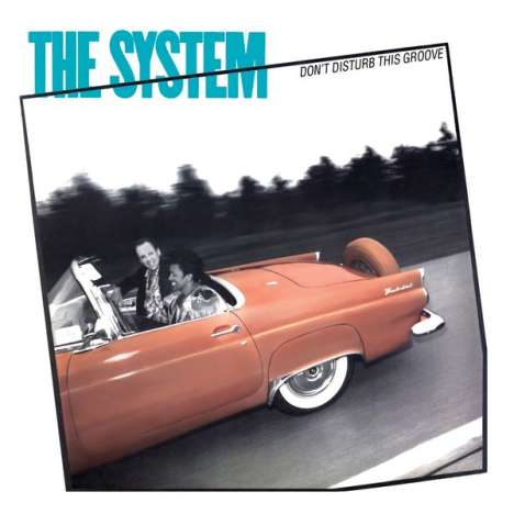 The System: Don'T Disturb This Groove, CD