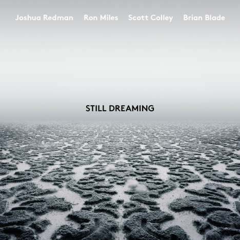 Joshua Redman, Ron Miles, Scott Cooley &amp; Brian Blade: Still Dreaming, LP