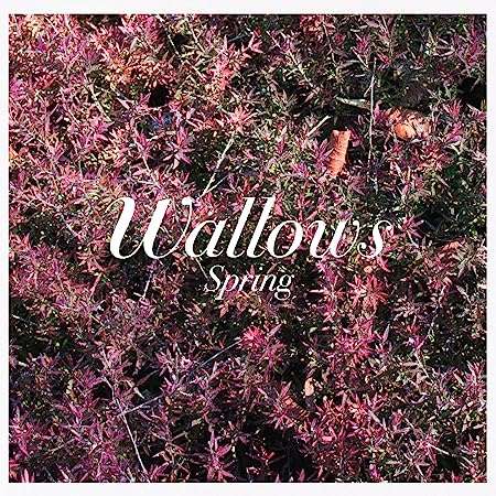 Wallows: Spring, CD