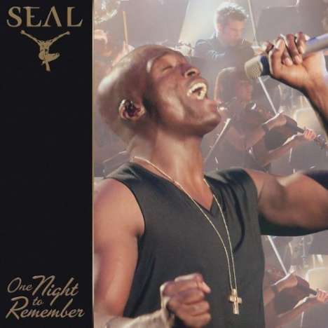 Seal: One Night To Remember, DVD