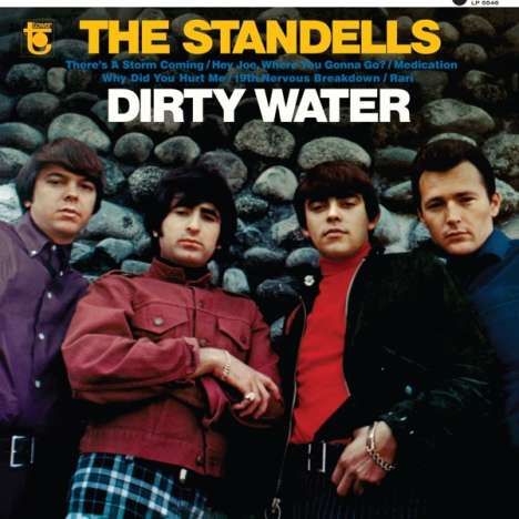 The Standells: Dirty Water (Gold Vinyl) (Mono), LP