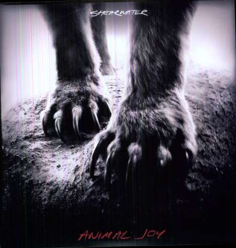 Shearwater: Animal Joy, LP