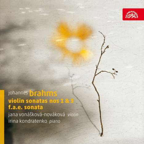 Johannes Brahms (1833-1897): Sonaten für Violine &amp; Klavier Nr.1 &amp; 3, CD