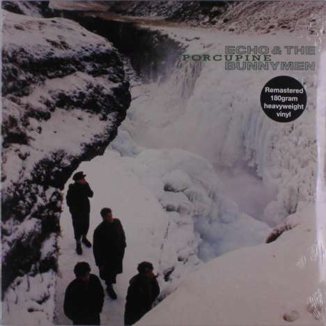 Echo &amp; The Bunnymen: Porcupine (remastered) (180g), LP