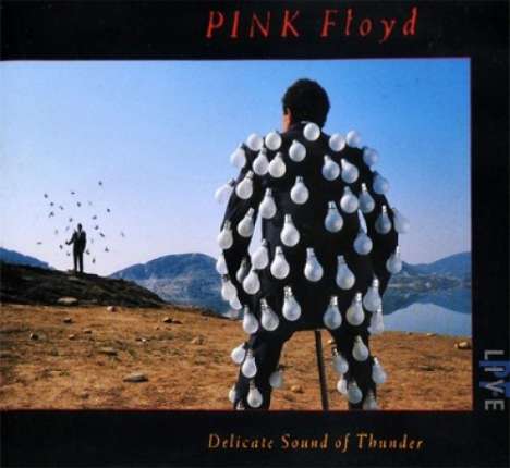 Pink Floyd: Delicate Sound Of Thunder: Live (remastered) (180g), 2 LPs