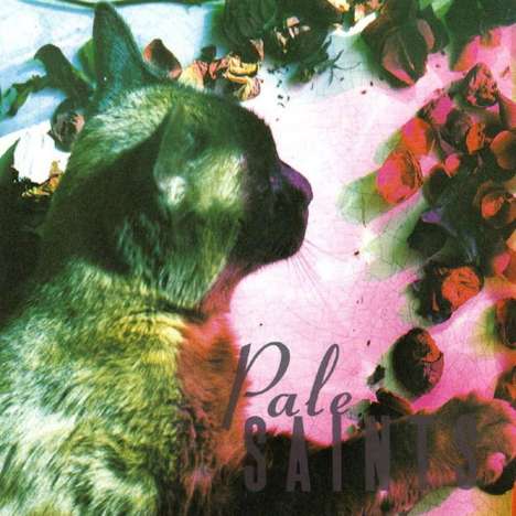 Pale Saints: The Comforts Of Madness (30th Anniversary Edition), LP