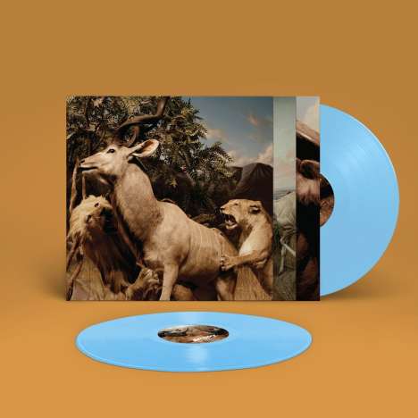 Interpol: Our Love To Admire (Limited Edition) (Sky Blue Vinyl), 2 LPs