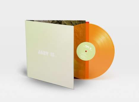 Jarv Is...: Beyond The Pale (Limited Edition) (Transparent Orange Vinyl), LP
