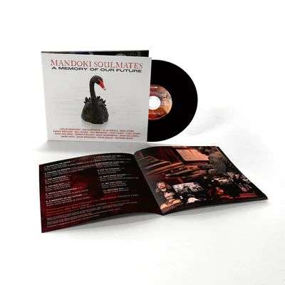 ManDoki Soulmates: A Memory Of Our Future (180g), 2 LPs