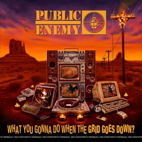 Public Enemy: What You Gonna Do When The Grid Goes Down?, LP