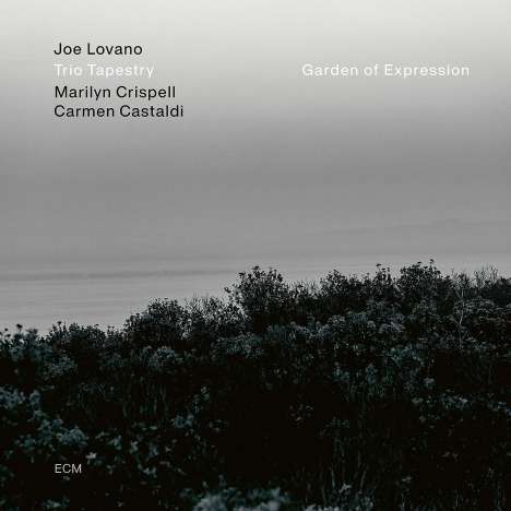 Joe Lovano (geb. 1952): Garden Of Expression (180g), LP