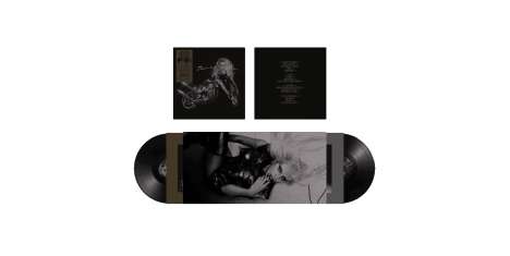 Lady Gaga: Born This Way (10th Anniversary) (Limited Edition), 3 LPs
