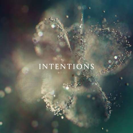 ANNA: Intentions (180g) (45 RPM), 2 LPs