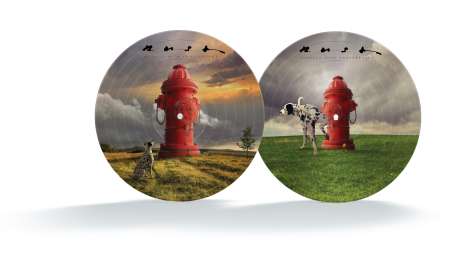 Rush: Signals (40th Anniversary Edition) (Limited Edition) (Picture Disc), LP