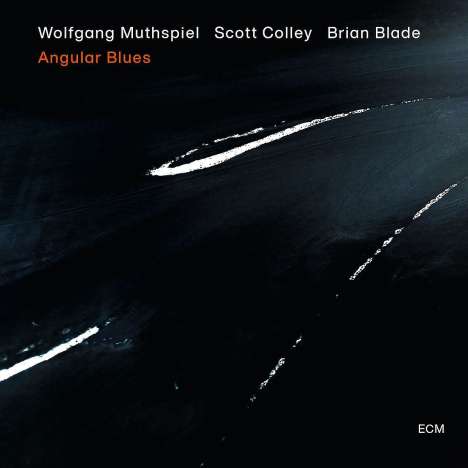 Wolfgang Muthspiel (geb. 1965): Angular Blues, CD