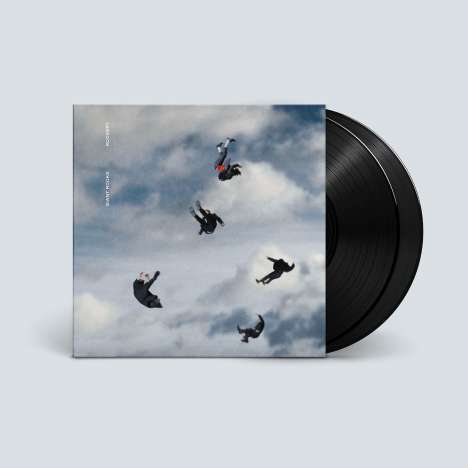 Giant Rooks: Rookery (180g), 2 LPs
